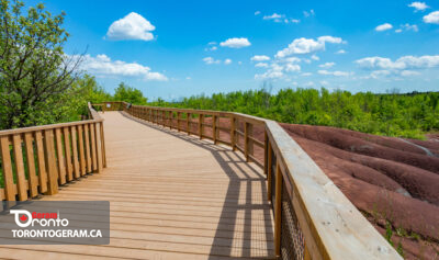 Cheltenham Badlands بازگشایی میشود