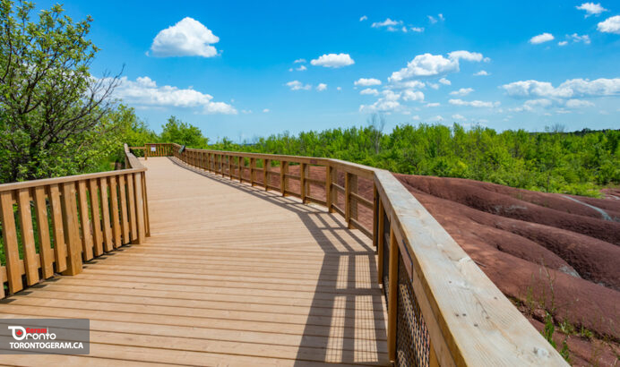 Cheltenham Badlands بازگشایی میشود