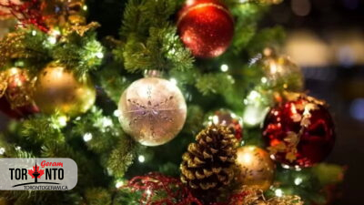 درخت کریسمس از کجا آمد؟