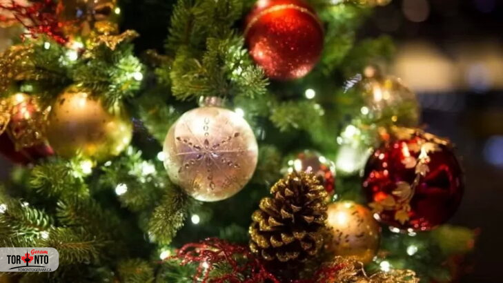 درخت کریسمس از کجا آمد؟