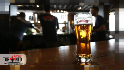 هوش مصنوعی «بهترین» آبجو را انتخاب و تولید کرد