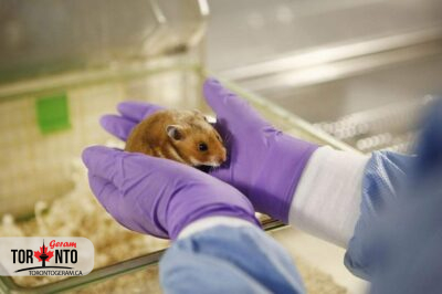 کرونا باروری مردان را تحت تاثیر قرار می‌دهد