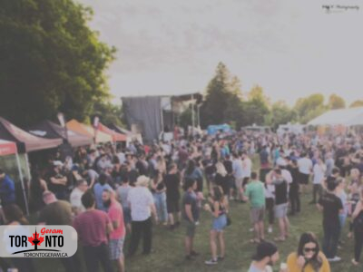 فستیوال آبجو و غذافروشی های سیار شنبه در کینگ سیتی انتاریو