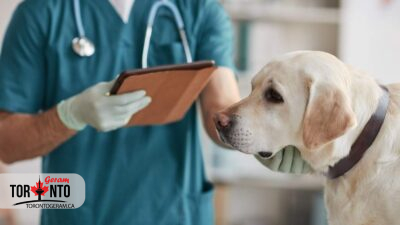 کانادا ورود سگ از 100 کشور جهان را ممنوع میکند