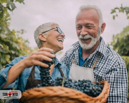 خوردن انگور از زوال عقل جلوگیری می‌کند