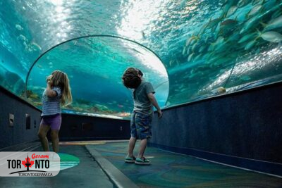 این آخرهفته در تورنتو کجا برویم؟