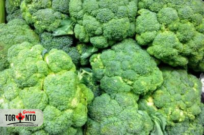 بروکلی حافظ روده مانع بیماری