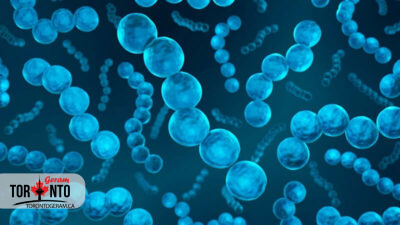 مرگ شش کودک در انتاریو به دلیل عفونت نادر استرپتوکوکی