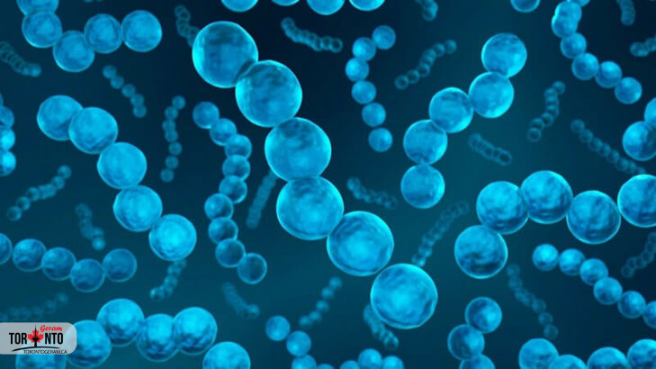 مرگ شش کودک در انتاریو به دلیل عفونت نادر استرپتوکوکی